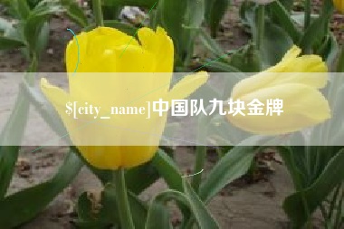 河南中国队九块金牌
