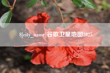河南谷歌卫星地图2025