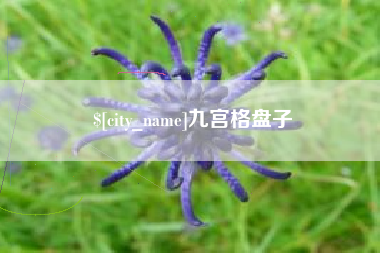 河南九宫格盘子