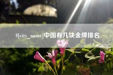河南中国有几块金牌排名
