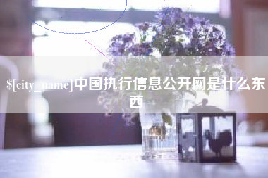 河南中国执行信息公开网是什么东西