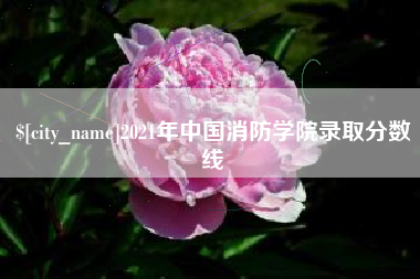 河南2021年中国消防学院录取分数线