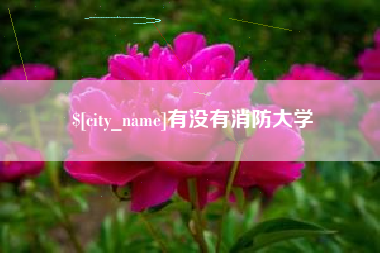 河南有没有消防大学