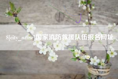 河南国家消防救援队伍报名网址