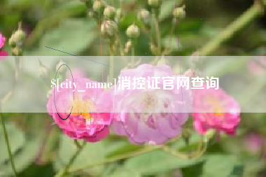 河南消控证官网查询