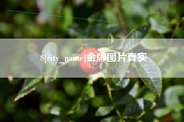 河南金牌图片真实
