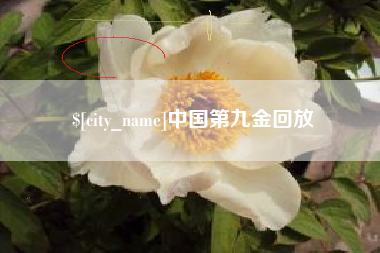 河南中国第九金回放