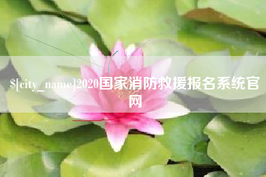 河南2020国家消防救援报名系统官网