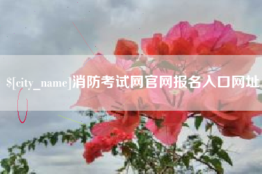 河南消防考试网官网报名入口网址