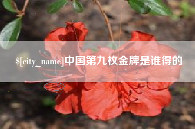 河南中国第九枚金牌是谁得的