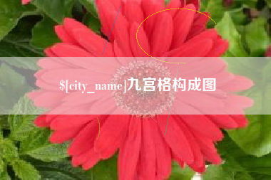 河南九宫格构成图