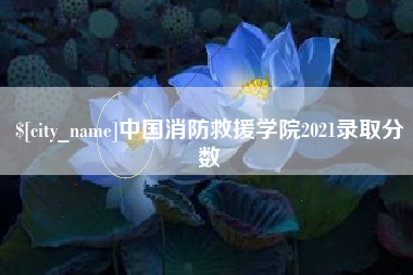 河南中国消防救援学院2021录取分数