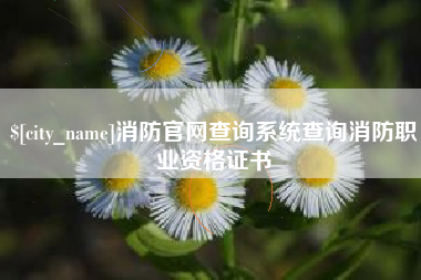 河南消防官网查询系统查询消防职业资格证书