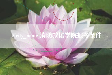 河南消防救援学院报考条件