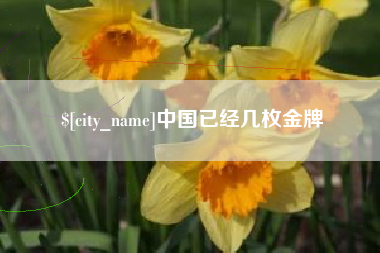 河南中国已经几枚金牌