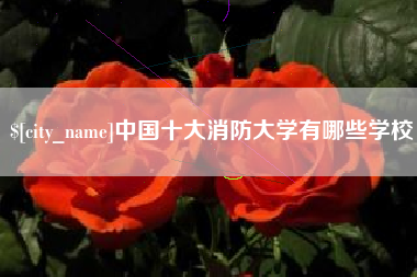 河南中国十大消防大学有哪些学校