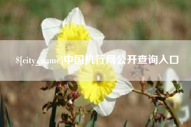河南中国执行网公开查询入口