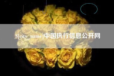 河南中国执行信息公开网