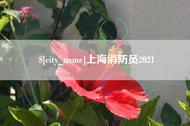 河南上海消防员2021