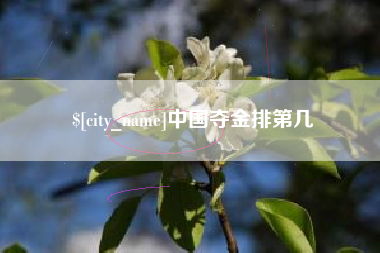 河南中国夺金排第几