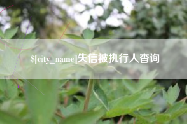 河南失信被执行人杳询