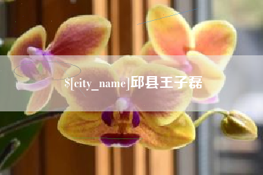 河南邱县王子磊