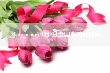 河南11月9日全国消防日图片