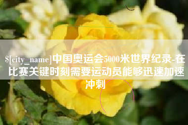 河南中国奥运会5000米世界纪录-在比赛关键时刻需要运动员能够迅速加速冲刺