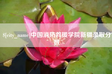 河南中国消防救援学院新疆录取分数