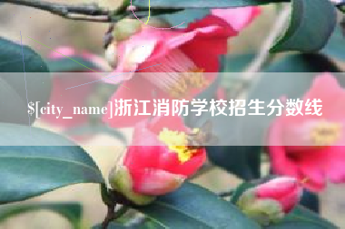 河南浙江消防学校招生分数线
