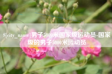 河南男子5000米国家级运动员-国家级的男子5000米运动员
