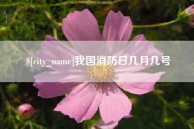 河南我国消防日几月几号