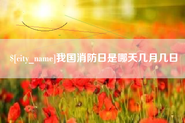 河南我国消防日是哪天几月几日