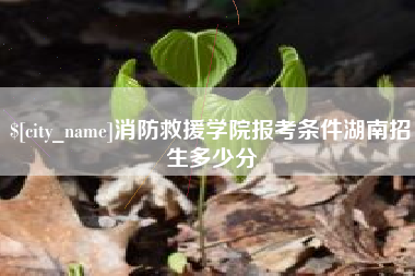 河南消防救援学院报考条件湖南招生多少分