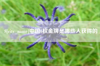 河南中国6枚金牌是哪些人获得的