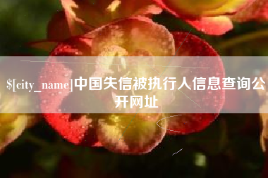 河南中国失信被执行人信息查询公开网址