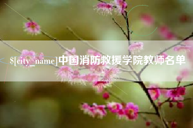 河南中国消防救援学院教师名单