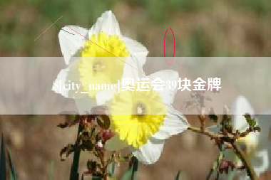 河南奥运会39块金牌