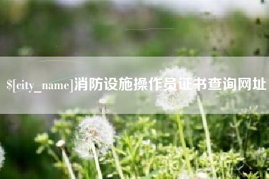河南消防设施操作员证书查询网址