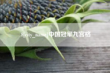 河南中国冠军九宫格