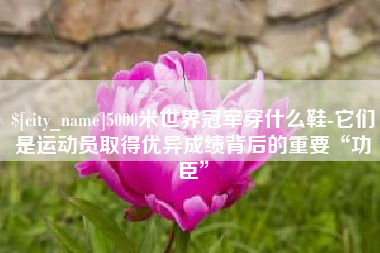 河南5000米世界冠军穿什么鞋-它们是运动员取得优异成绩背后的重要“功臣”