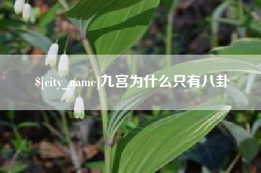 河南九宫为什么只有八卦
