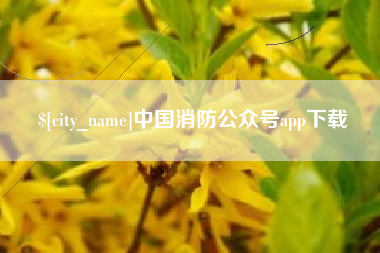 河南中国消防公众号app下载