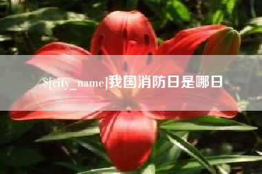 河南我国消防日是哪日