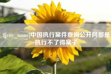 河南中国执行案件查询公开网都是执行不了得案子