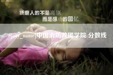 河南中国消防救援学院 分数线