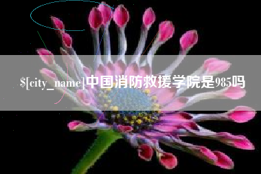 河南中国消防救援学院是985吗