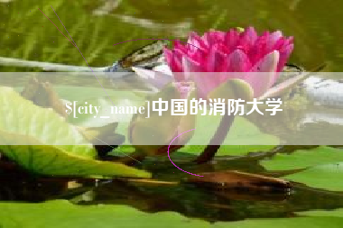河南中国的消防大学