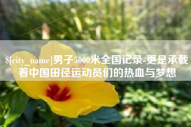 河南男子5000米全国记录-更是承载着中国田径运动员们的热血与梦想