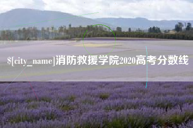 河南消防救援学院2020高考分数线